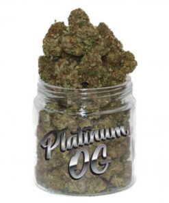 Platinum OG